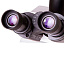цифровой микроскоп Levenhuk MED PRO 600 Fluo окуляры